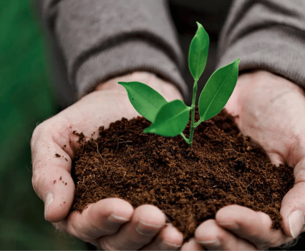 GROWTH REGULATORS