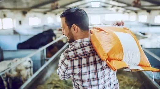 mycotoxins-a-pervasive-challenge